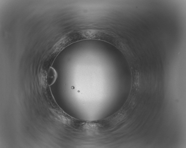 X0000077360332200610201329