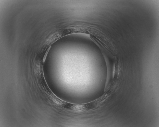 X0000077360333200610201329