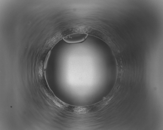 X0000077360334200610201329