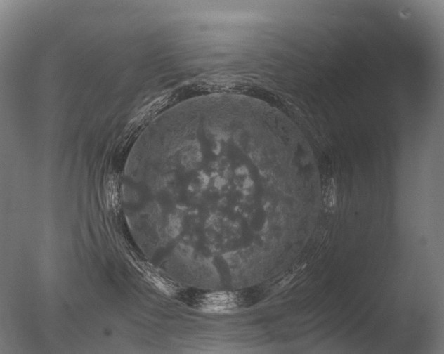 X0000077360335200610201329