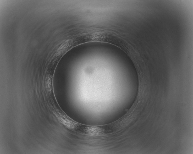 X0000077360336200610201329