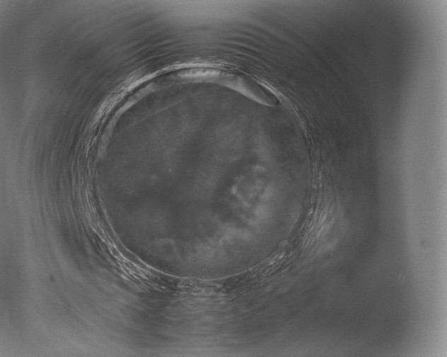 X0000077360337200610201328