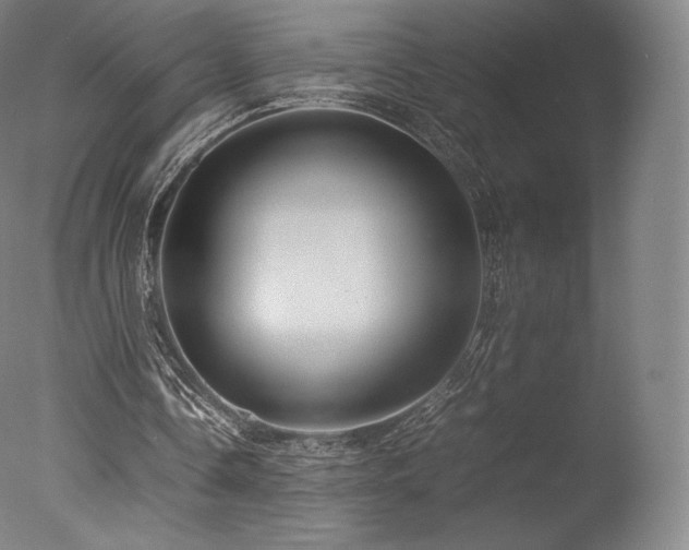 X0000077360338200610201328