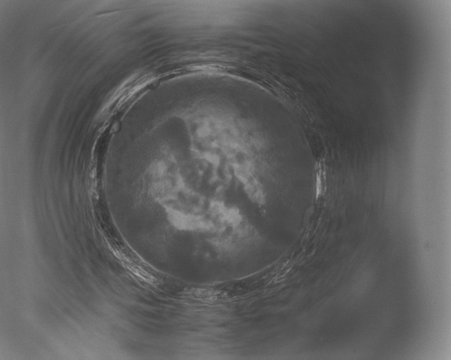 X0000077360339200610201328