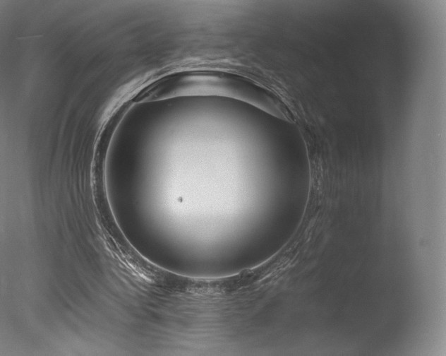 X0000077360340200610201328