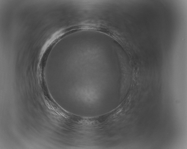 X0000077360343200610201328