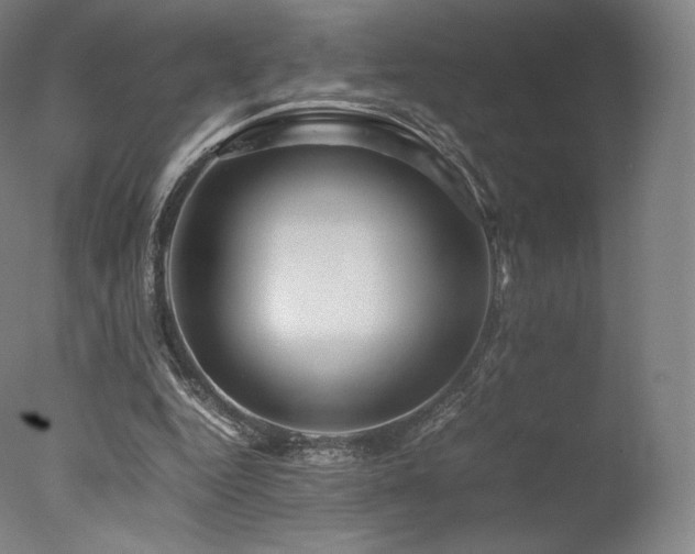 X0000077360344200610201328