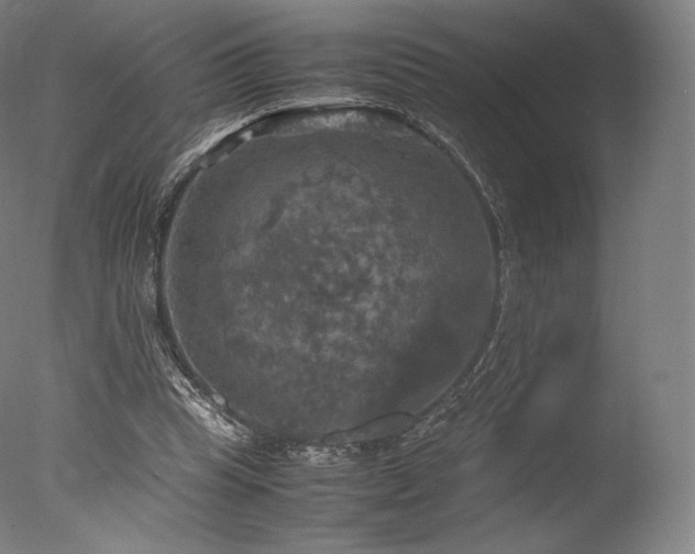 X0000077360345200610201328