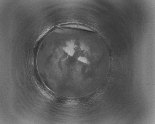 X0000077360347200610201328