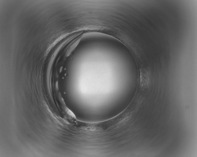 X0000077360348200610201328