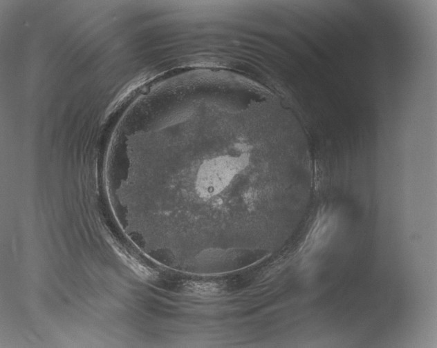 X0000077360349200610201328