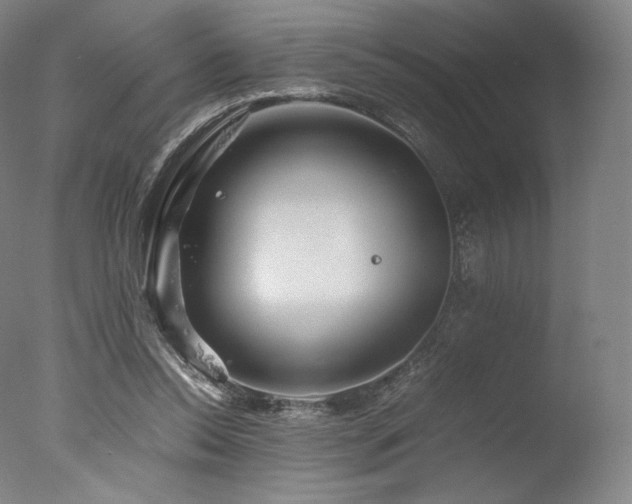 X0000077360350200610201328