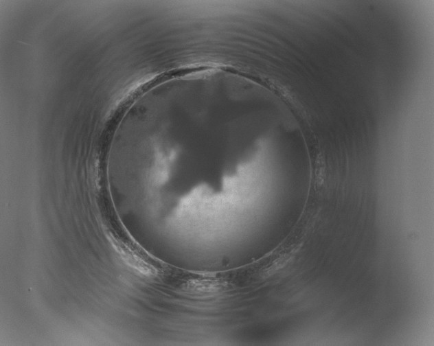 X0000077360351200610201328