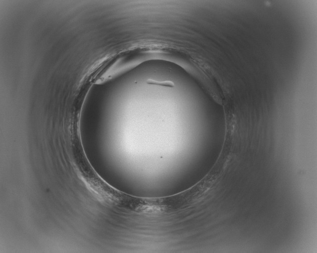 X0000077360352200610201328