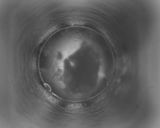 X0000077360353200610201328