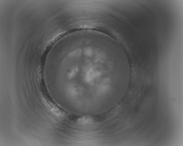 X0000077360354200610201328