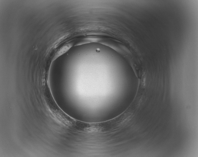 X0000077360356200610201328