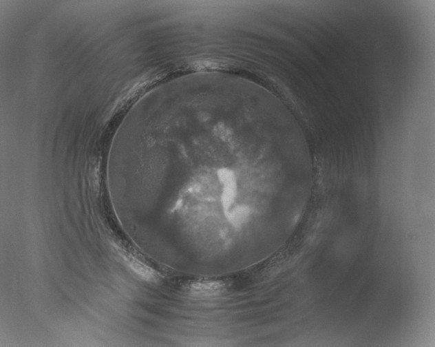 X0000077360357200610201328