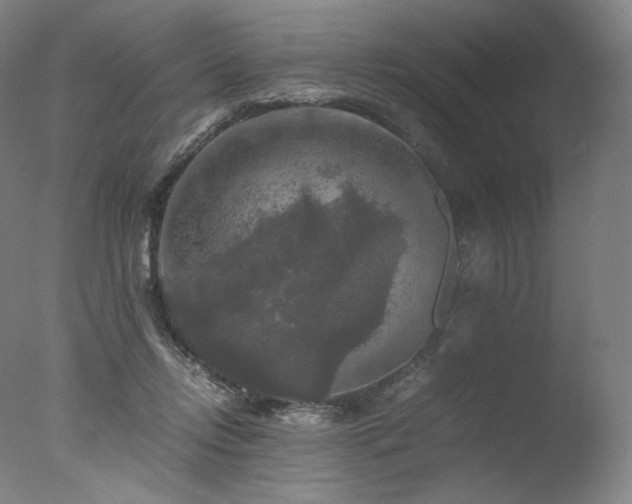 X0000077360358200610201328