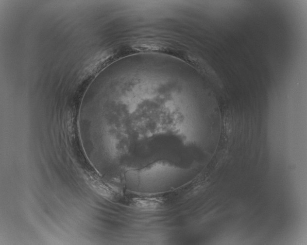 X0000077360359200610201328