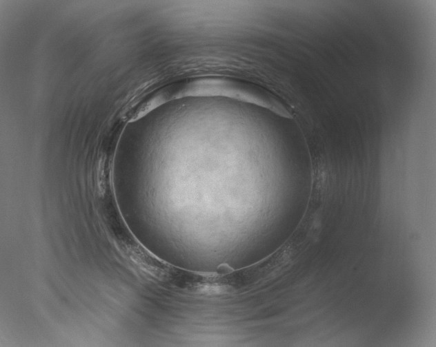 X0000077360360200610201328