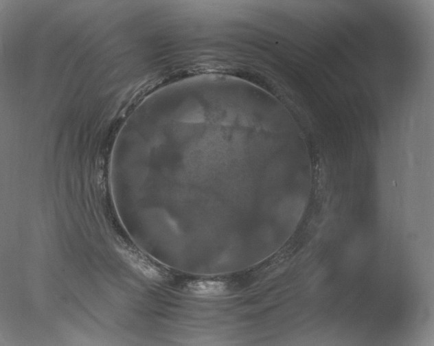 X0000077360361200610201328