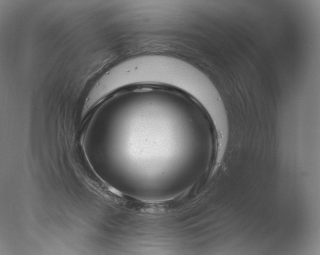 X0000077360362200610201329