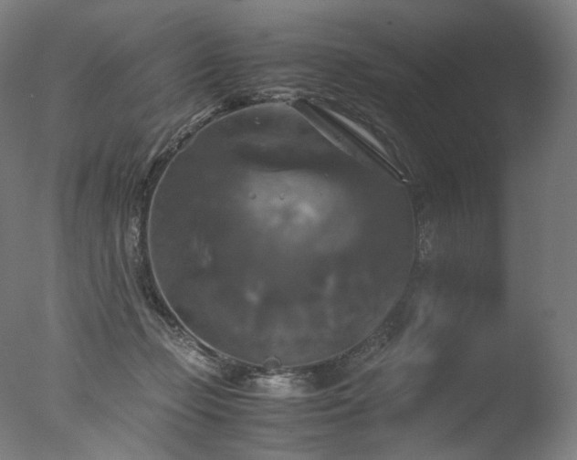 X0000077360365200610201329