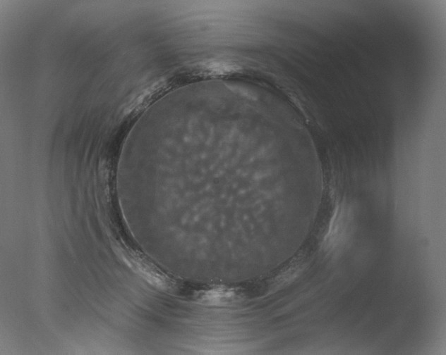 X0000077360366200610201329