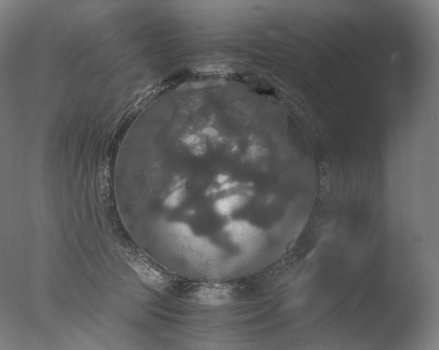 X0000077360369200610201329