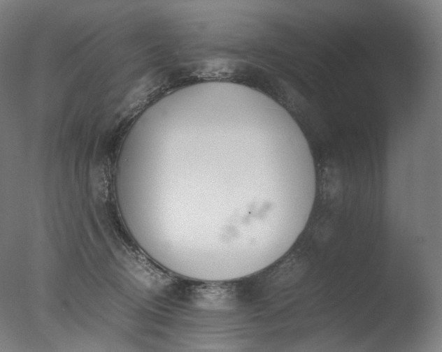 X0000077360370200610201329