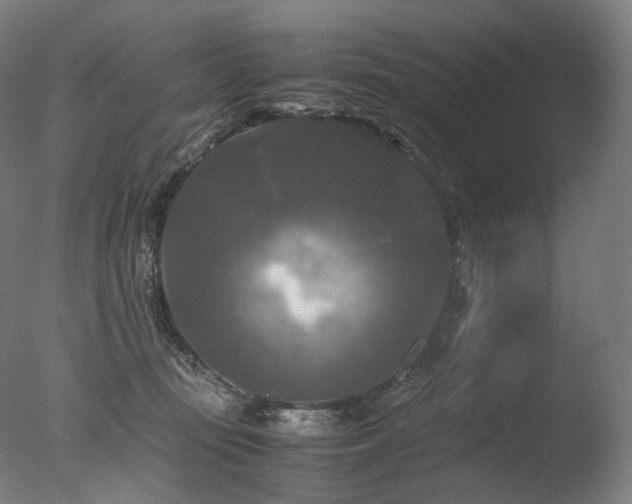 X0000077360371200610201329