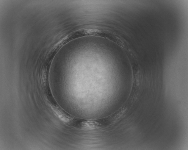 X0000077360372200610201329