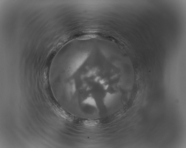 X0000077360373200610201329