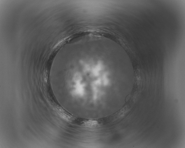 X0000077360374200610201329