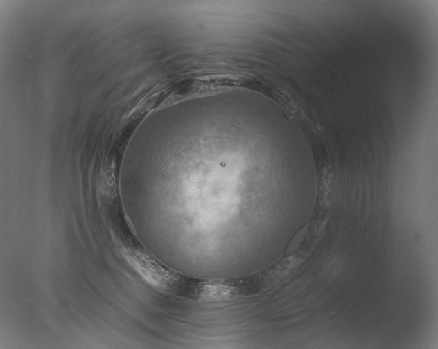 X0000077360376200610201329