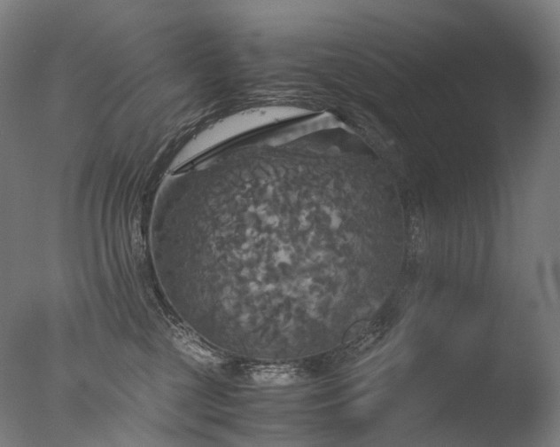 X0000077360377200610201329