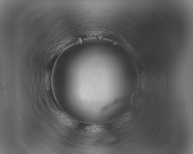 X0000077360378200610201329