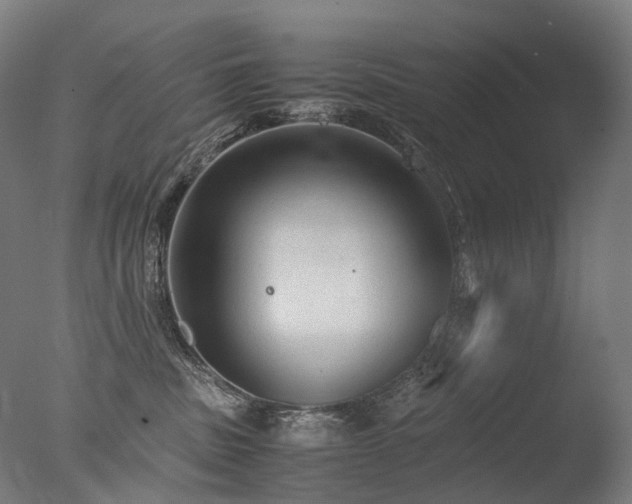 X0000077360379200610201329