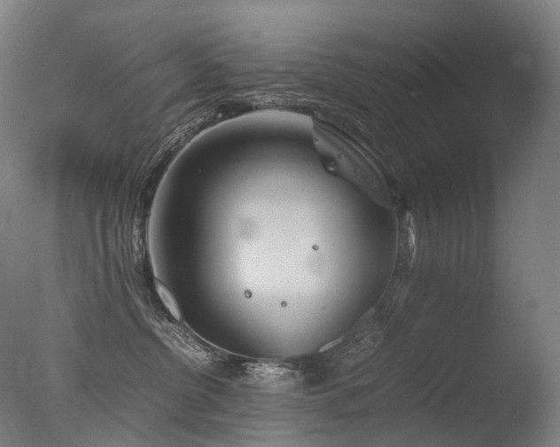 X0000077360380200610201329