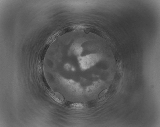 X0000077360381200610201329