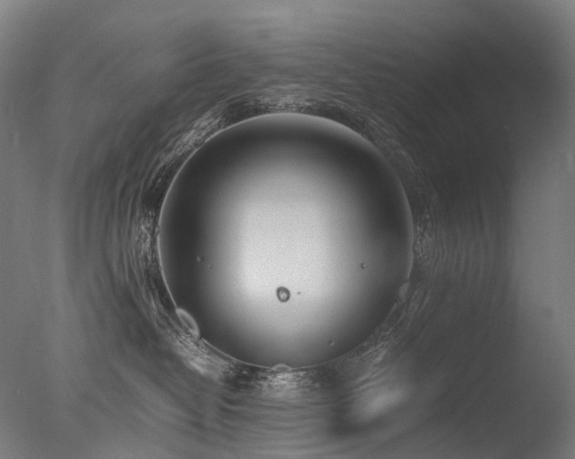 X0000077360382200610201329