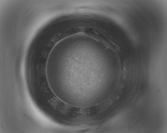 X0000077360383200610201329