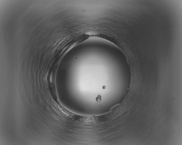 X0000077360384200610201329