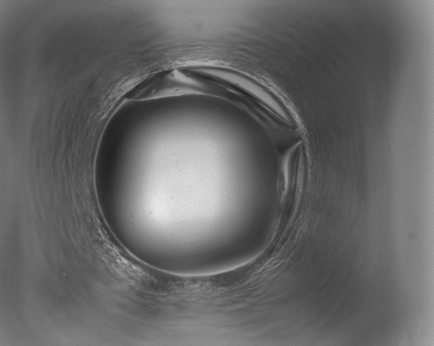 X0000077360385200610201328