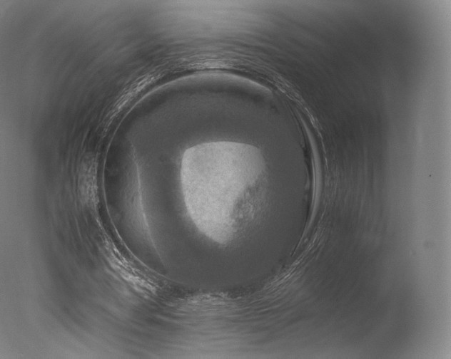 X0000077360386200610201328