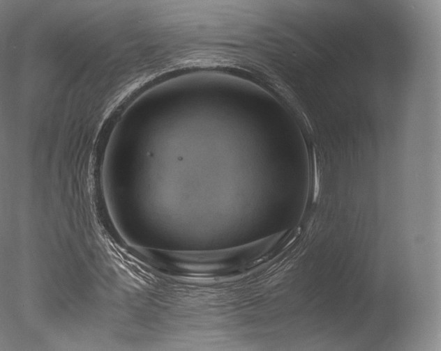 X0000077360387200610201328