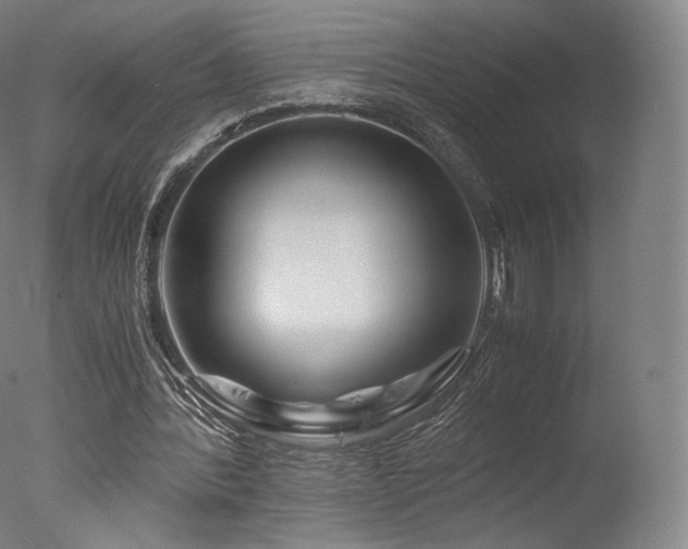 X0000077360388200610201328