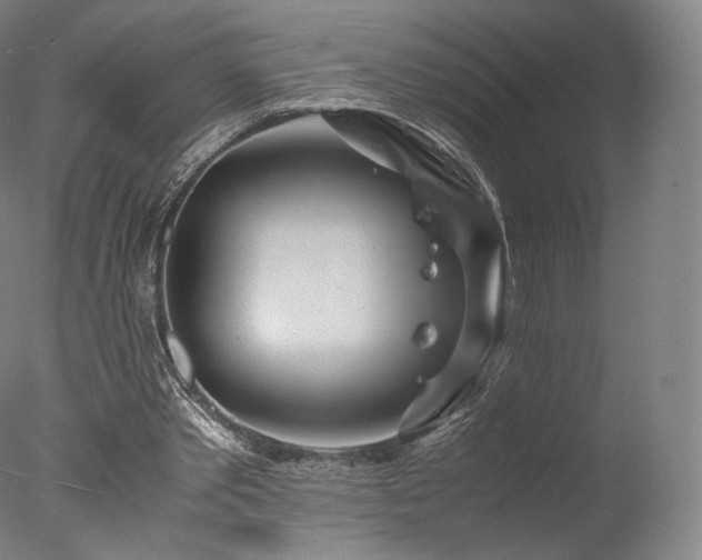 X0000077360389200610201328