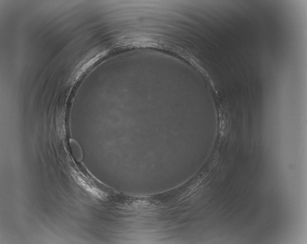 X0000077360390200610201328